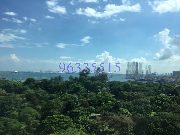 Blue Horizon (D5), Condominium #148985422